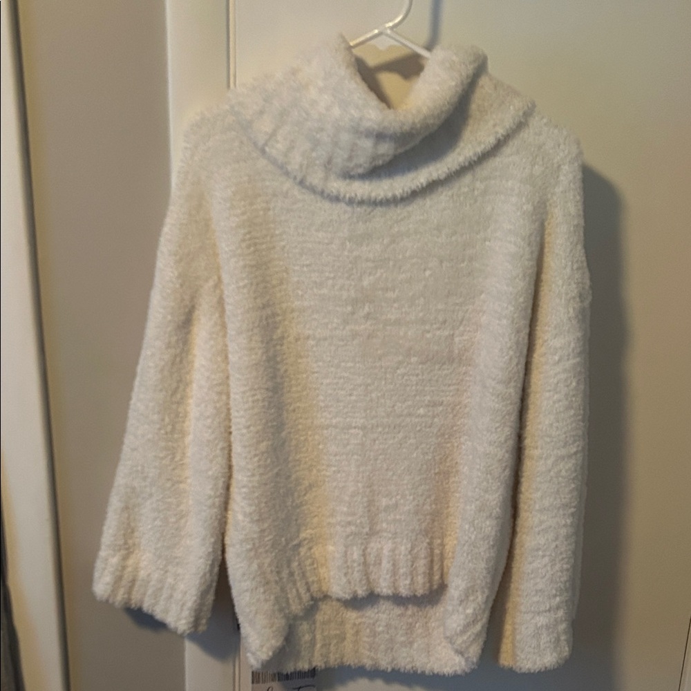 Express Soft Cream Turtleneck Sweater